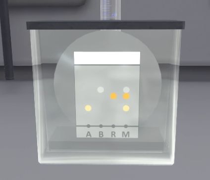 mc manipulation chromatography after timeleap