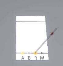 mc manipulation chromatography capillary