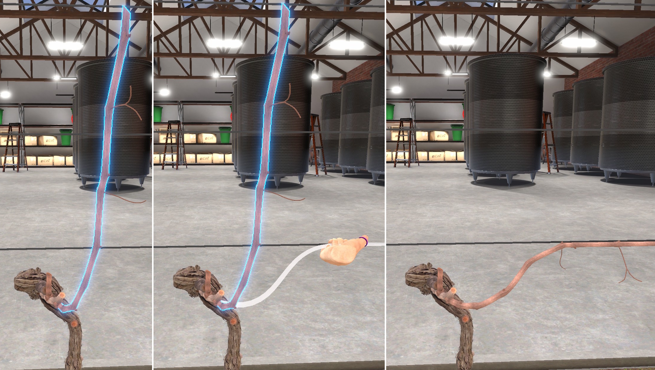 md viti step bend 1b