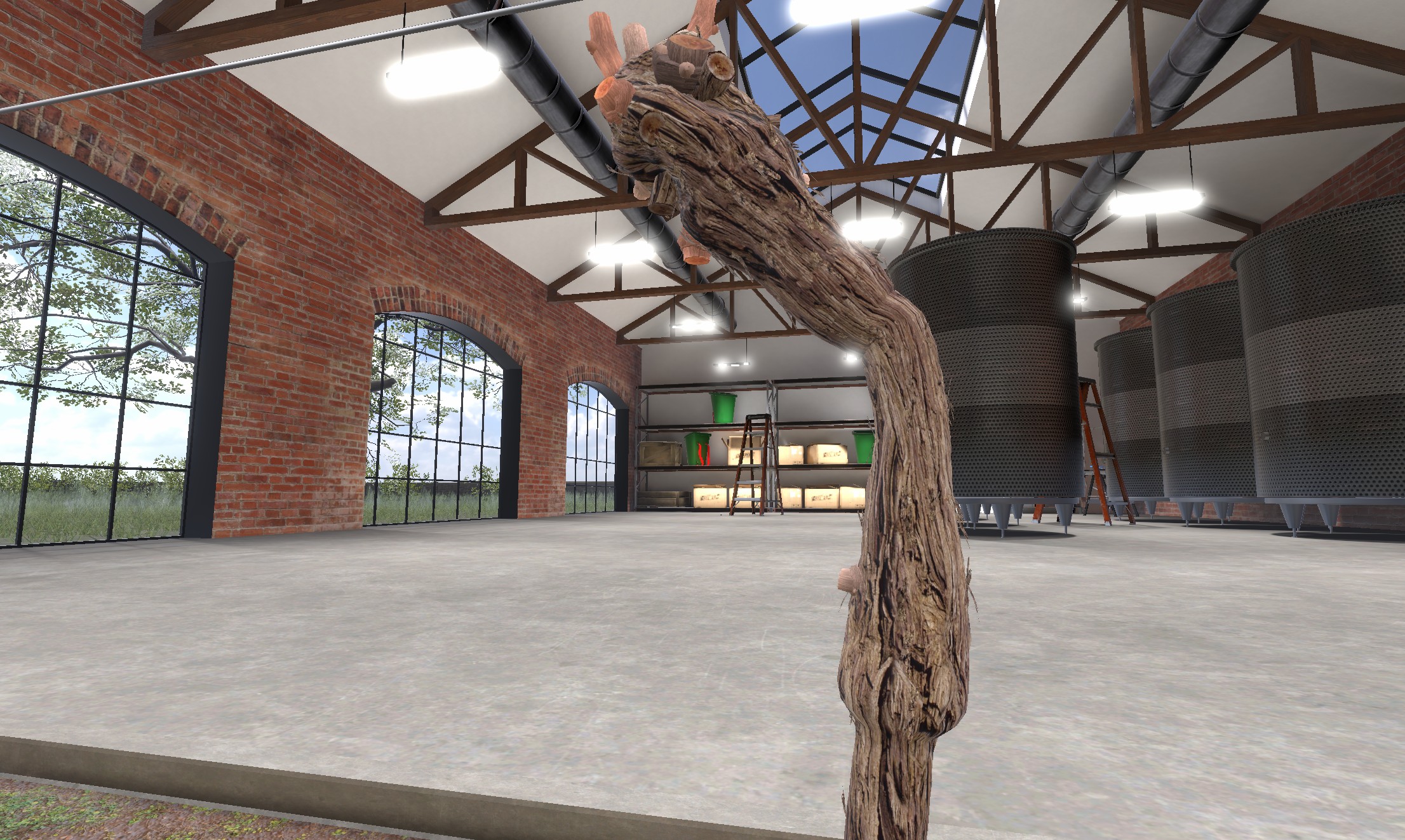 md viti step chicots 2