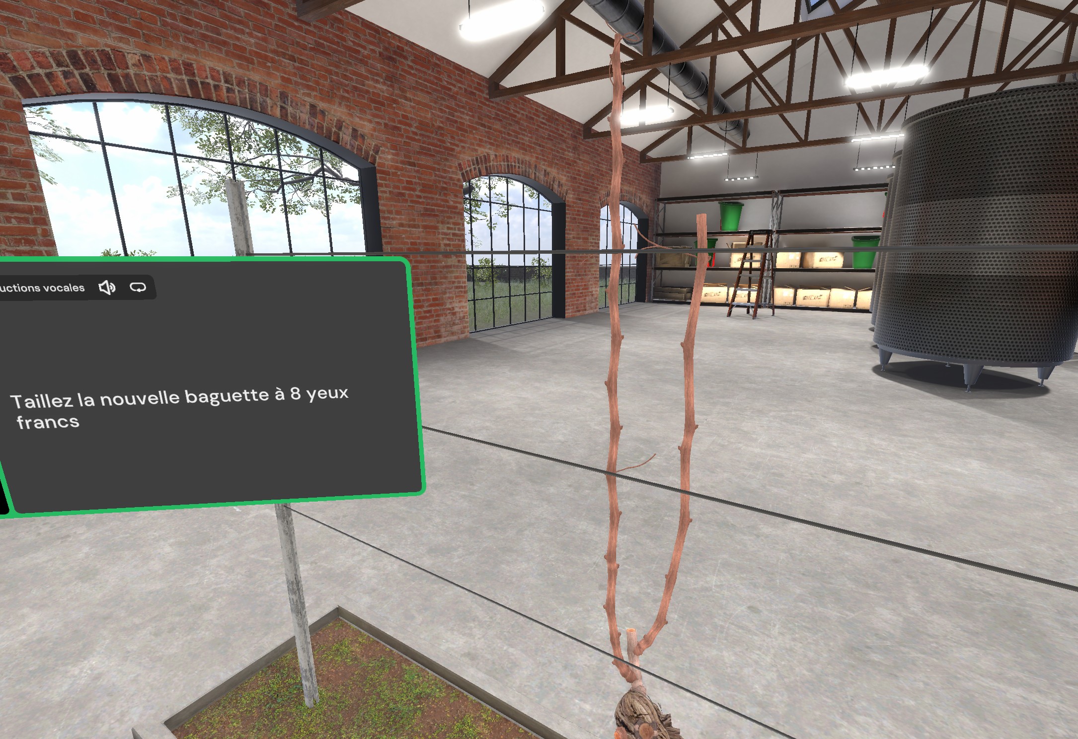 md viti step new stick 2