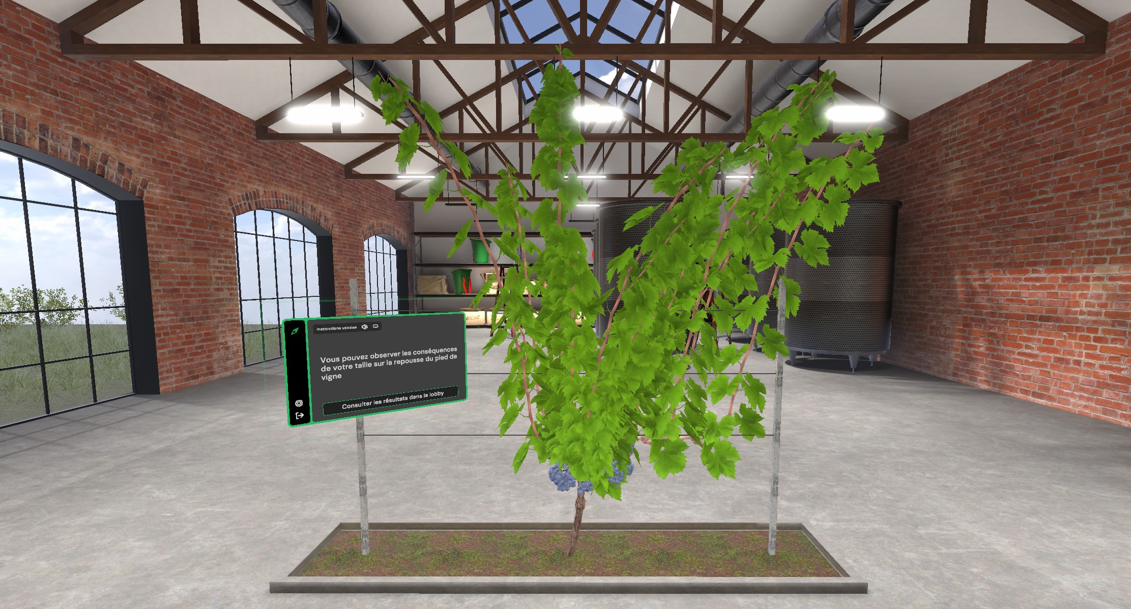 md viti step results 1