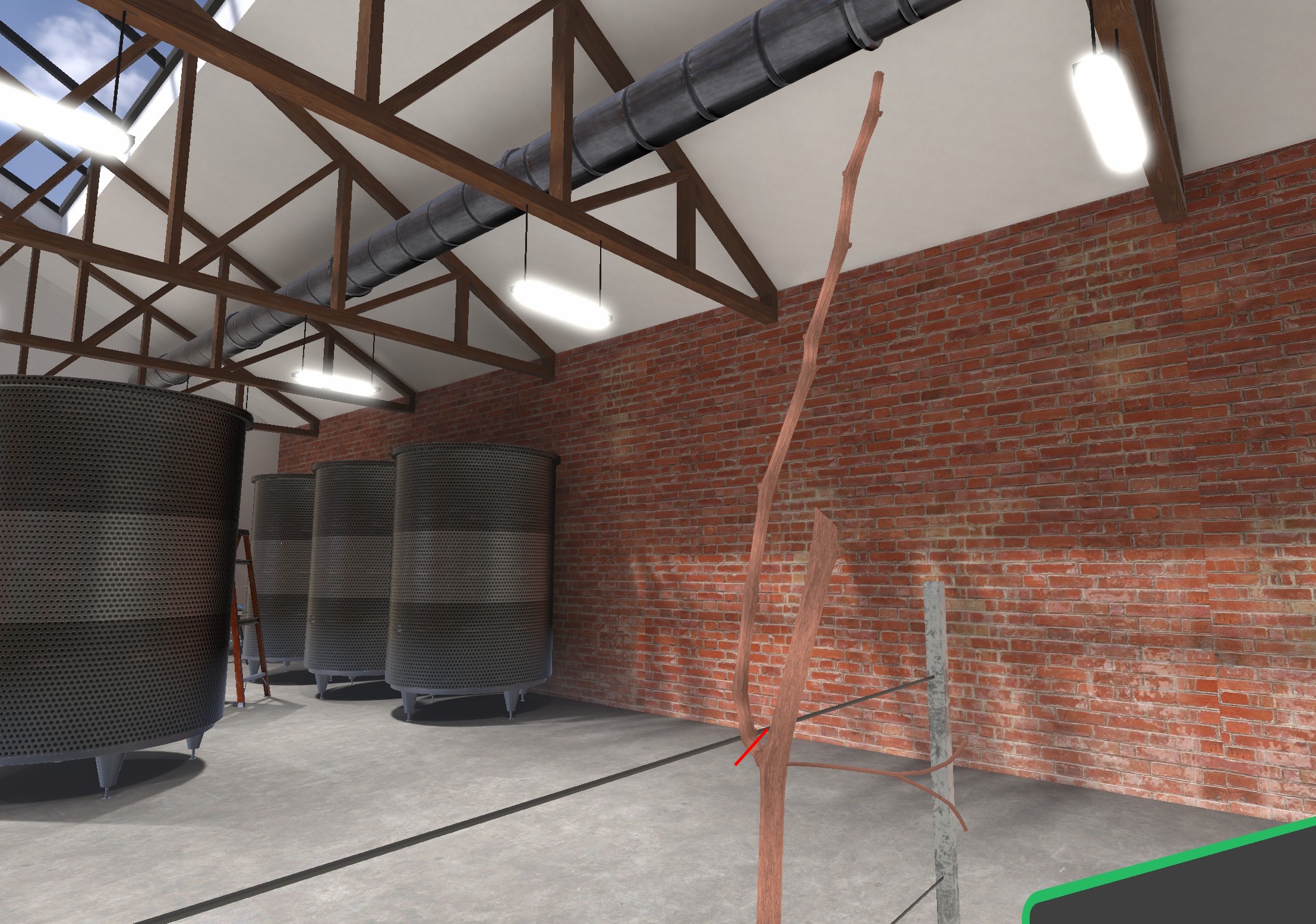 md viti step shoot 1b