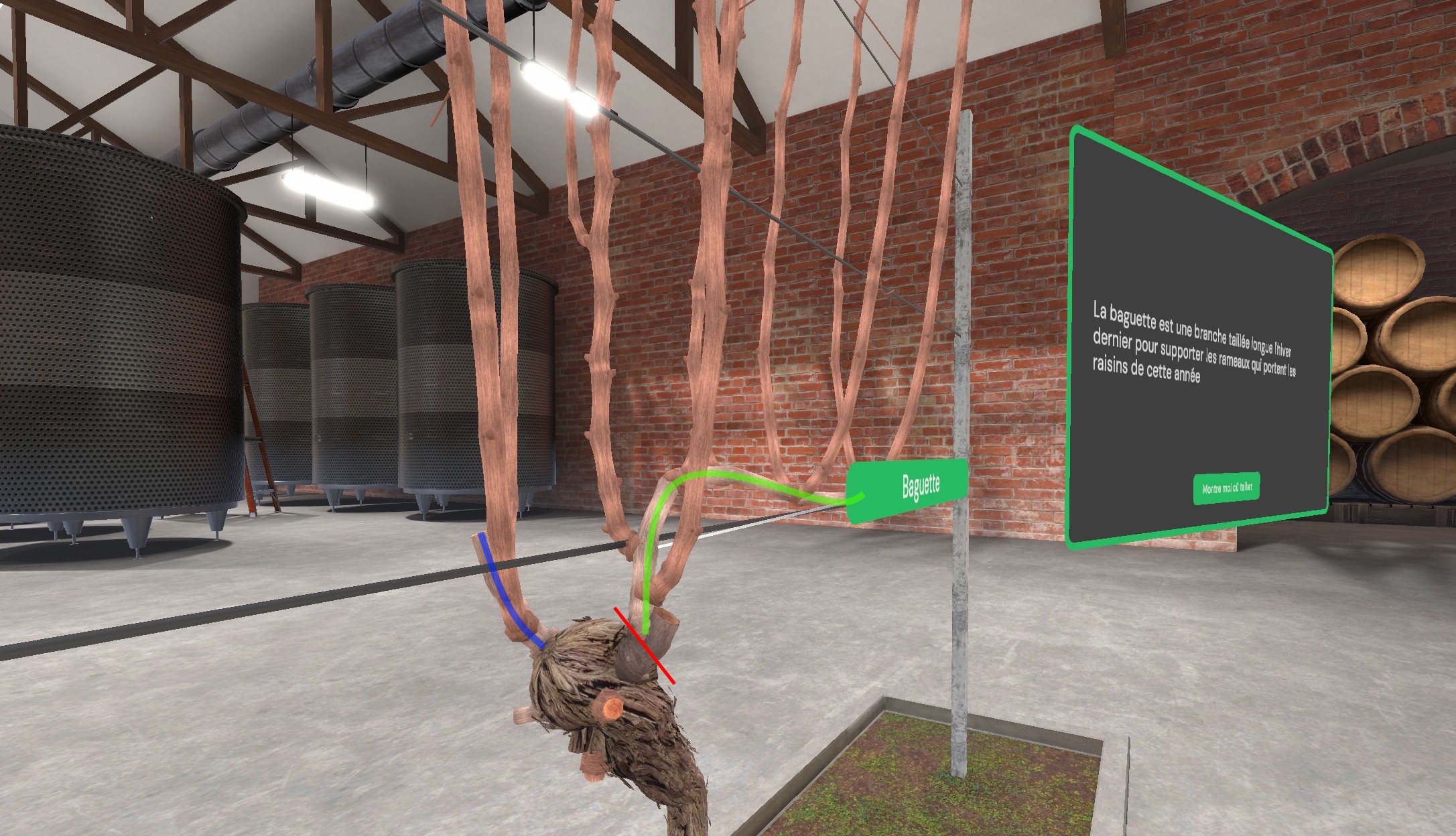 md viti step stick 1b