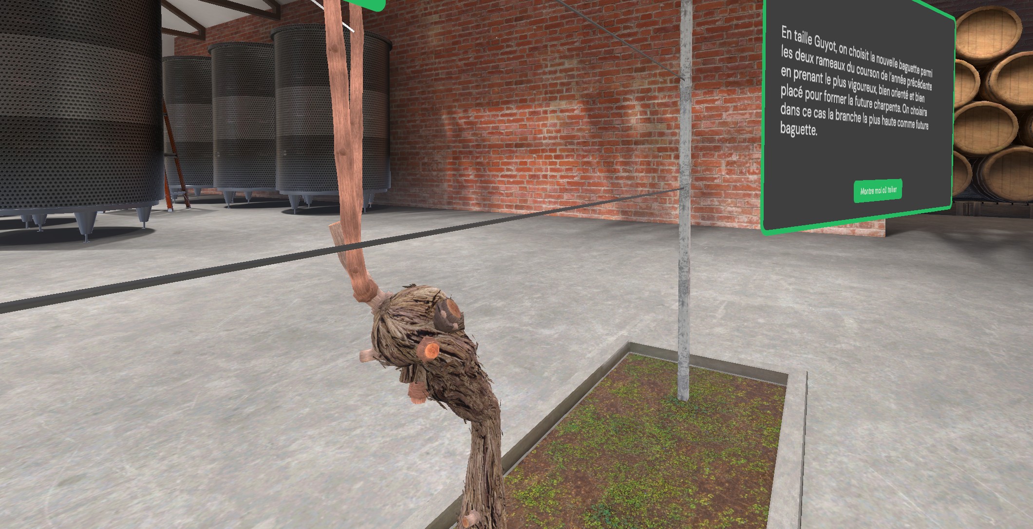 md viti step stick 3