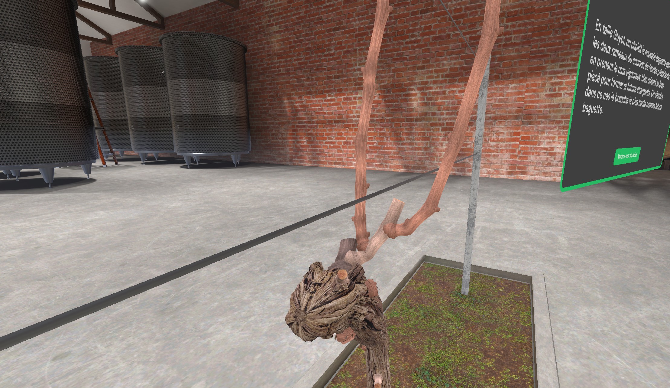 md viti step stick 5